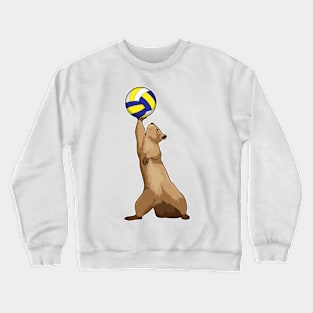 Squirrel with Volleyball Crewneck Sweatshirt